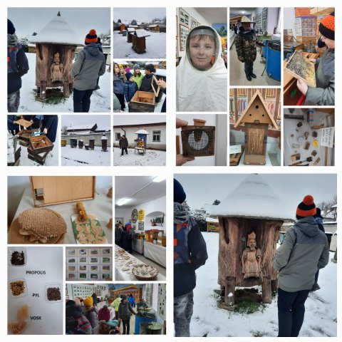 beekeeping - visiting an open-air museum